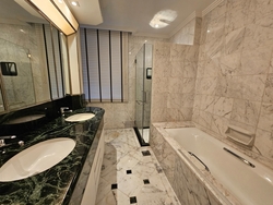 Four Seasons Park (D10), Condominium #447140081